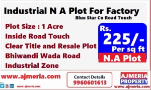 Blue Star Co Road Touch Industrial N A Plot For Factory D Zone by Ajmeria Property